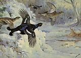 Archibald Thorburn Through the Snowy Coverts painting